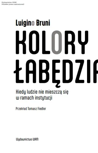 Kolory łabędzia. Kiedy ludzie nie mieszczą się w ramach instytucji na Arena.pl
