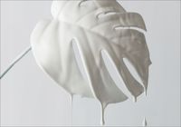 FOTOTAPETA kwiaty liść alabastrowy lilie 200x130