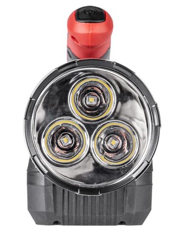 Latarka Cedrus CEDLLI CEDLLI na Arena.pl