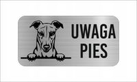 GRAWER Tabliczka nierdzewna laminat 20x10 UWAGA PIES Greyhound