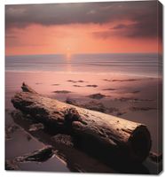 product-compare-59476911