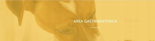 RELAXIGEN PET CANE NBF Lanes 20 tabletek - SPOKÓJ PSA na Arena.pl