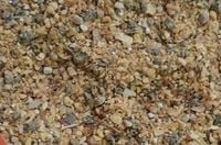 Koncentrat Nioska DJ do paszy karma dla kur niosek Nutrena 25kg witaminy