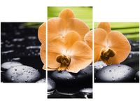 90X60CM OBRAZ STORCZYK POMARAŃCZOWY TRZY OBRAZY