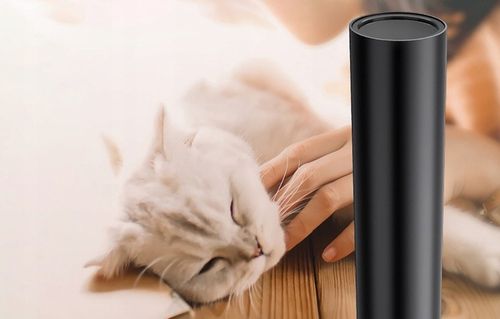 LATARKA UV 395nm KIESZONKOWA na Arena.pl