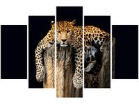 OBRAZ DZIKI KOT LAMPART