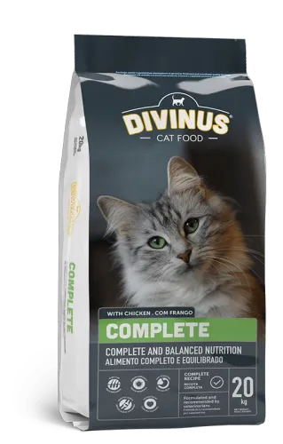 Divinus Cat Complete dla kotów dorosłych 20kg na Arena.pl