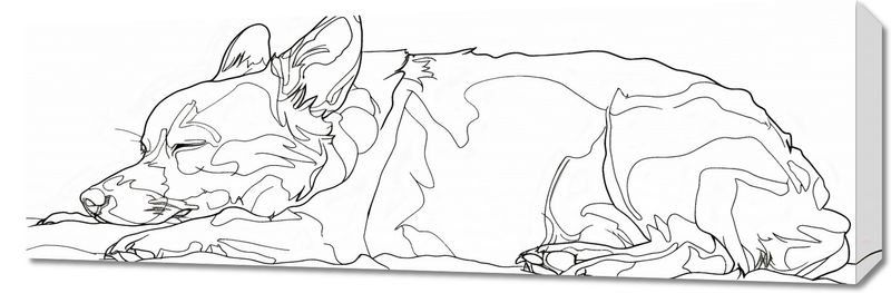 Obraz 90x30cm Śpiący Psiak zdjęcie 1