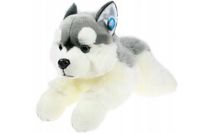 product-compare-57149786