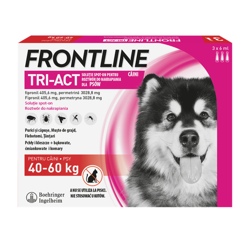 frontline tri-act dla psów 3x6ml na Arena.pl