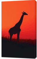 Obraz 60x100cm Żyrafa w Czerni