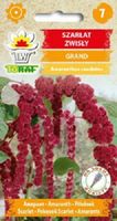Szarłat zwisły Grand soliter do ogrodu nasiona 0,5 g.