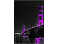 100 70CM OBRAZ PŁÓTNO VIOLET GOLDEN BRIDGE TANEL TEEMUSK PŁÓTNO RAMA