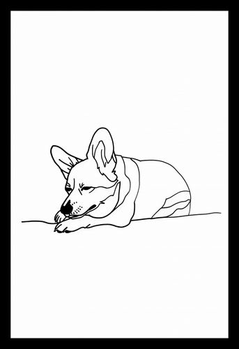 Plakat 20x30cm Śpiący Corgacz na Arena.pl