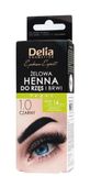 DELIA Henna do brwi i rzęs żelowa 1.0 czarny 15 ml