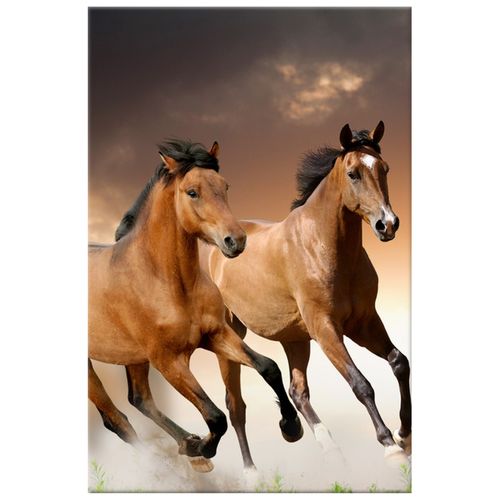 40X60 Obraz *** Na Płótnie *** na Arena.pl