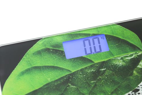 mesko waga ms8149 osobowa zdjęcie 2