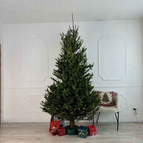 Stojak Choinkowy Zielony Kamai SELECT 3.5 na Arena.pl