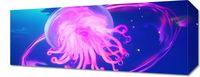 Obraz 50x20cm Neonowa Meduza