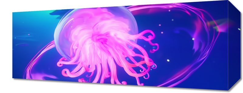 Obraz 50x20cm Neonowa Meduza zdjęcie 1