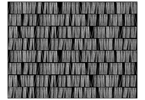 Fototapeta - Home library 350x270 na Arena.pl