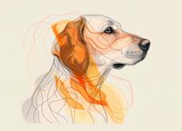 Plakat 18x13cm Kontur Profilowego