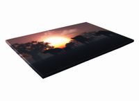 SZKLANA DESKA KUCHENNA 60x20 399c Słonie