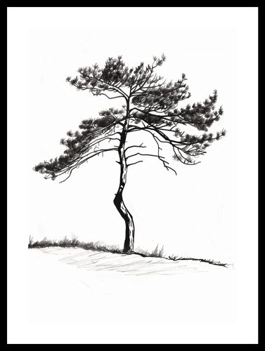 Plakat 29,7x42cm Samotna Sosna na Arena.pl