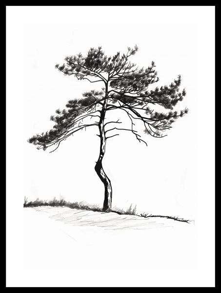 Plakat 29,7x42cm Samotna Sosna zdjęcie 3