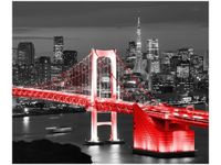 OBRAZ DRUK TOKYO MOST TĘCZOWY CZERWIENI