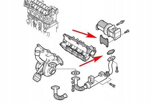 554 Zaślepka EGR FIAT OPEL 1.9 JTD CDTI 16V na Arena.pl