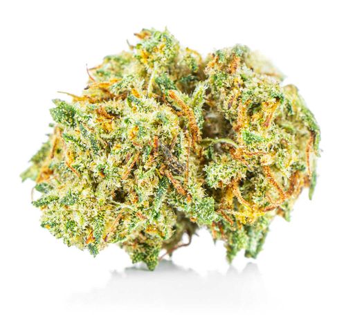 Susz konopny CBD | SUPER SILVER HAZE | 50 g na Arena.pl