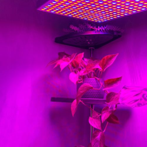 Lampa do Wzrostu Roślin Panel do Uprawy 225 LED + Liny Mocna 36W Wisząca na Arena.pl