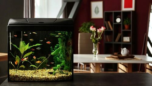 Wkłady do filtra RO3 WPL2 WWL2 OSMOZA RO3 AKWARYSTYCZNY na Arena.pl