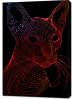 Obraz 70x100cm Cyfrowa Kocica