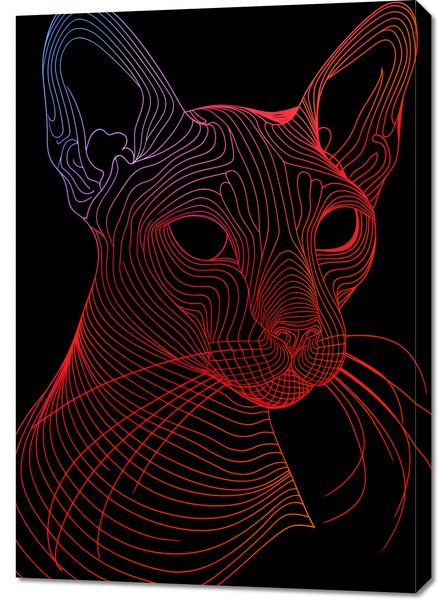 Obraz 70x100cm Cyfrowa Kocica zdjęcie 1