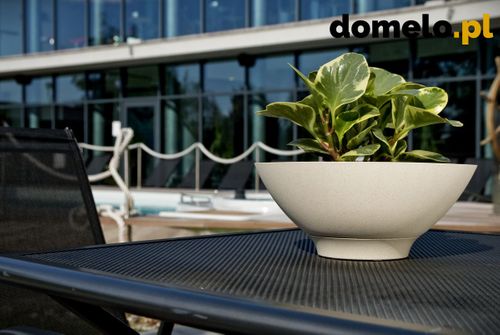 DONICZKA PLANET 290 A1 na Arena.pl