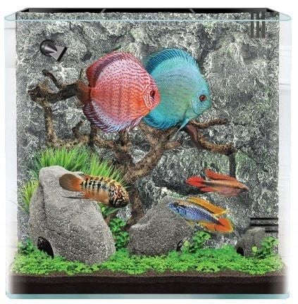 Akwarium z tylną filtracją, pompą i tłem 3D 60x30x30 cm na Arena.pl