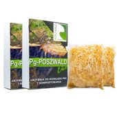 Grzybnia do ROZKŁADU PNIA Naturalne usuwanie PNI USUŃ ŚCIĘTY PIEŃ Grzybnia