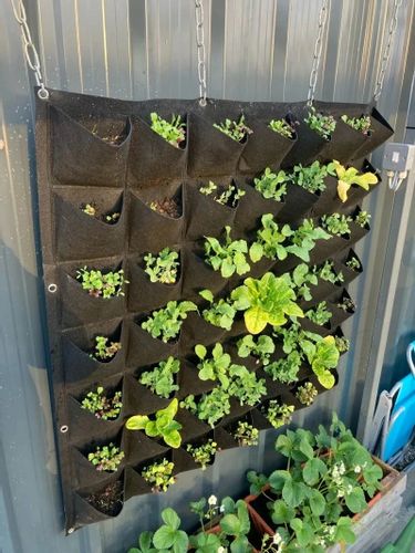 Doniczka WISZĄCA FILC Kaskada WARZYW ZIÓŁ TRUSKAWEK Ogród 18 miejsc na Arena.pl