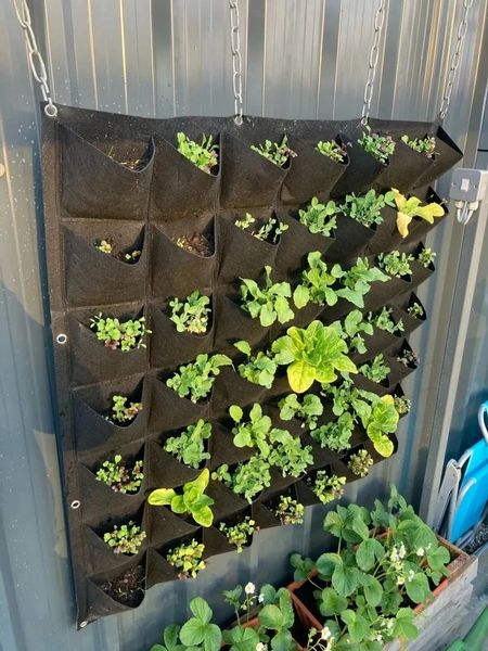 Doniczka WISZĄCA FILC Kaskada WARZYW ZIÓŁ TRUSKAWEK Ogród 18 miejsc zdjęcie 5