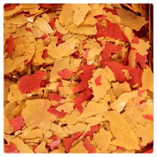 Zestaw 3 karm Glopex w pojemnikach 1000 ml Basic Eigelb i Vegetal mix na Arena.pl