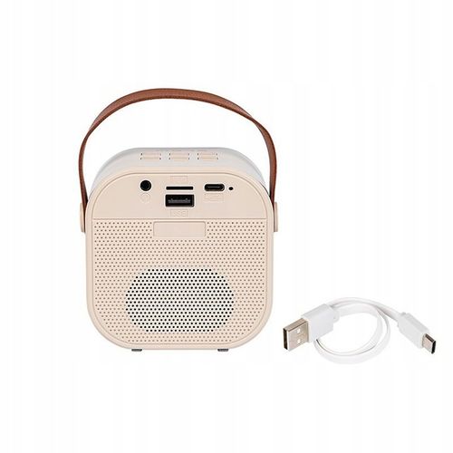 Bezprzewodowy GŁOŚNIK Bluetooth, 2 Mikrofony + POLSKIE Karaoke dla Dzieci na Arena.pl