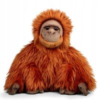 ORANGUTAN Realistyczna Maskotka 24 cm