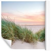 Fototapeta Plaża Trawa Wydmy Pejzaż do Salonu 270x180