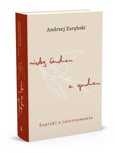 Między Grudniem a grudniem. Zapiski z internowania na Arena.pl