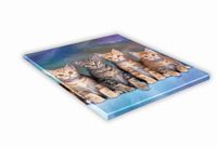 SZKLANA DESKA KUCHENNA 30x30 478f Rude kotki