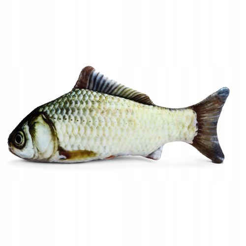 Płoć płotka Zabawka dla KOTA 20CM ryba pluszak na Arena.pl