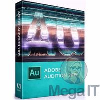 Audition 2015 - Licencja Wieczysta (LifeTime) - Windows - Licencja Biznes - BOX (ESD)