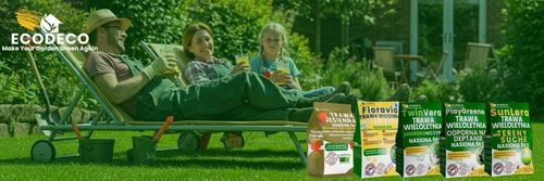 Trawa Nasiona Uniwersalna 5kg na Tereny Suche Trawnik 200m2 Mieszanka Traw na Arena.pl